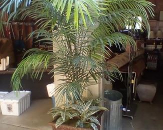 Fake palm tree- 6'with pot