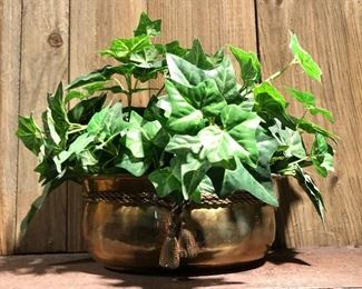 $15 Ivy arrangement in brass container