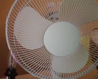 fan