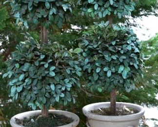 faux topiaries 