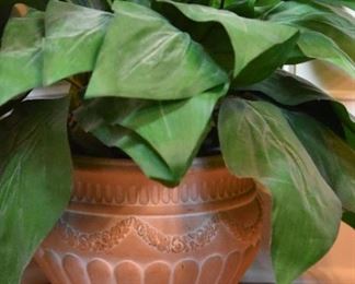 terracotta plant pot