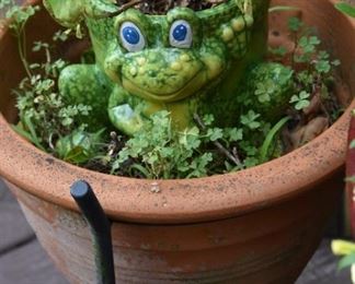 terracotta pot, frog pot