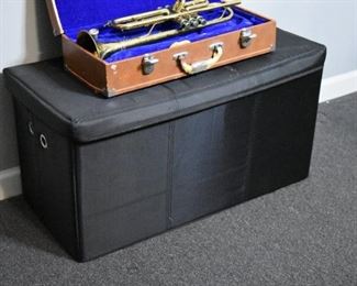 storage trunk