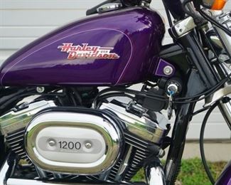 2001 Harley Davidson Motorcycle Sportster 