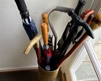 Canes and umbrella holder 
