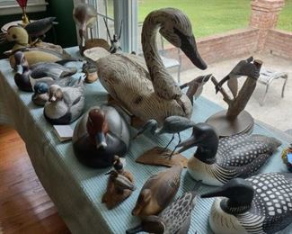 Collection of decoys