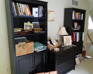 Bookcase and File Cabinet