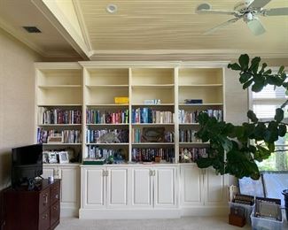 One of many bookcases filled with books