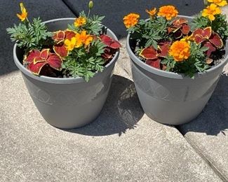 Floral garden pots
