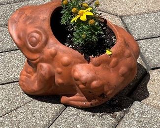 Frog floral garden pot