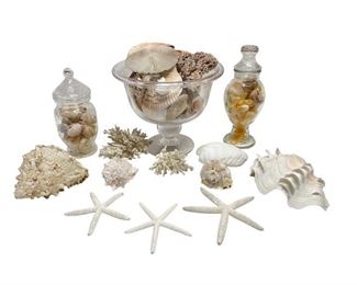 Assortment of Beach House Decor