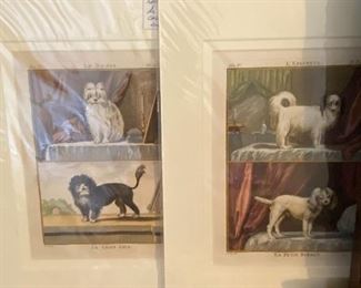 Collection of dog engravings 