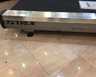 Amazing  like new True ES 900 Treadmill very low hours!