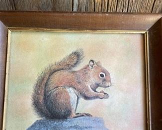 Bob Haines Red Squirrel 