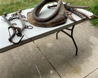 Horse collar and harness