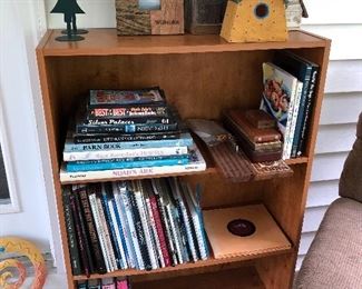 Compact bookcase; decorative birdhouses; numerous books.