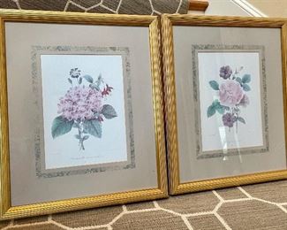 Item 187:  (2) Framed Botanical Prints - 14.75" x 17.75":  $68/Pair