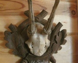 1904 Black Forest Mount.