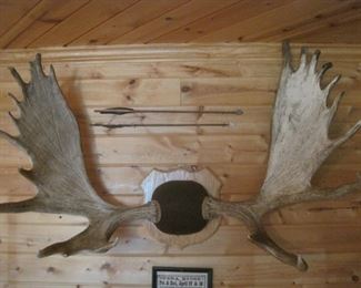 Antlers. The 2 Arrows are not for sale.