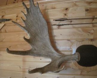 The 2 Arrows are not for sale.