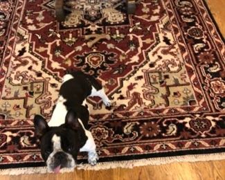 Area rug - 6 x 8...dog not included!