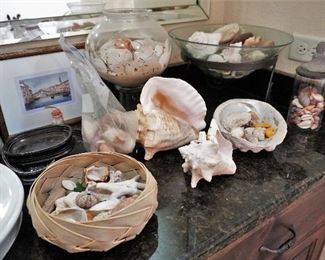 Seashells