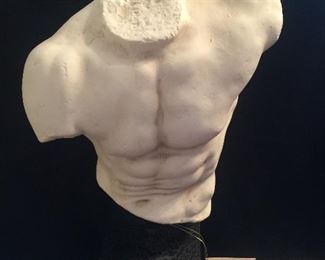 Torso