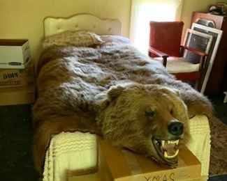 Buy It Now. Authentic grizzly rug. This bear was shot in Alaska. It's 6 ft. Coloring is beautiful. This is a presale item $1,995.00