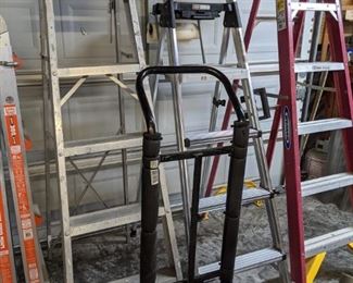 SOME OF THE MANY LADDERS