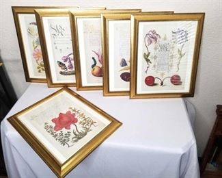 Framed Flower Prints
