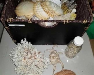 Box of Seashells
