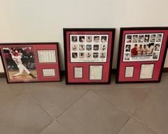 Cardinal Baseball Framed Memorabilia 