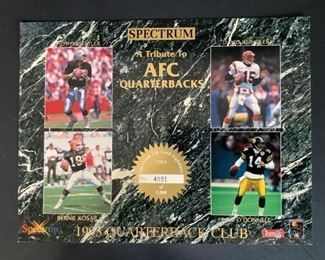 A Tribute to AFC Quarterbacks
