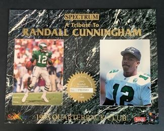 A Tribute to Randall Cunningham
