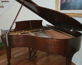 Steinway & Son's Baby Grand Piano
Model 346151 S, Great condition, all original parts, tuned 