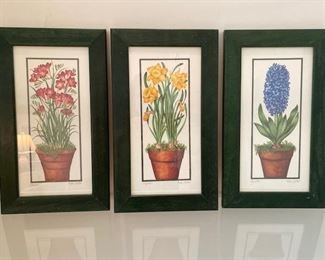 Set of three potted florals