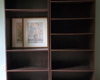 Bookcases Framed Prints