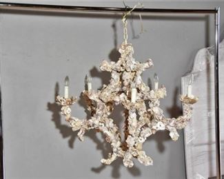 Seashell Chandiler