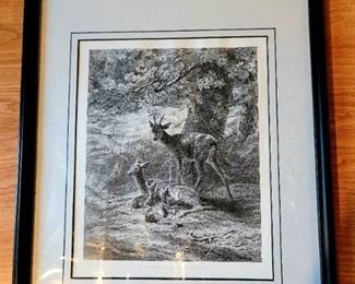 Framed Print Titled "The Resting Place of the Deer"