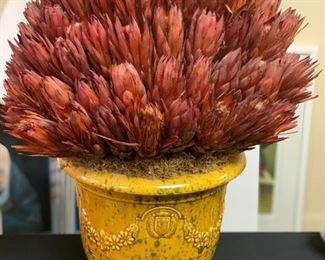 Abigails Italy Yellow Pot with Dried Flowers	26x20x16	HxWxD
