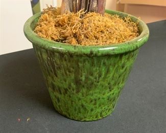 Green Pot with Dried Bouquet #2	30x15x15	HxWxD
