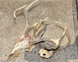 Two 2 Sets Of Antlers