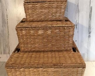(3) Nesting Baskets with Removable Lids