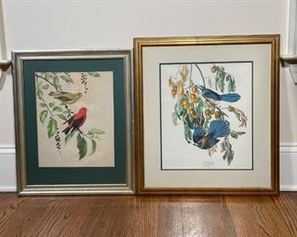 PAIR BIRD PRINTS | Both prints of watercolors; One depicting "Florida Jay", other inscribed "James Gordon Irving"; larger 24-1/2 x 21-1/2 in. framed 