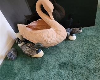 Swan and Ducks Lot