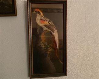 Vintage Hand Painted Birds & Real Feathers Framed Under Glass Mexican Folk Art Wall Hanging 40's/50's