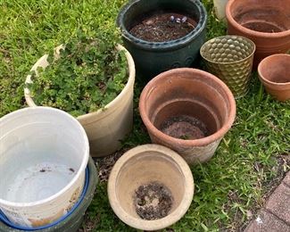 Assorted Flower Pots