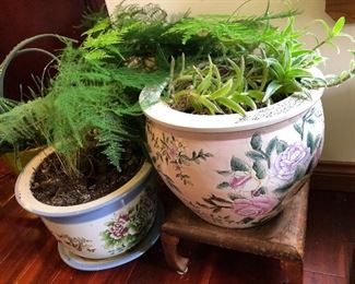 Asian pottery and plants for sale too