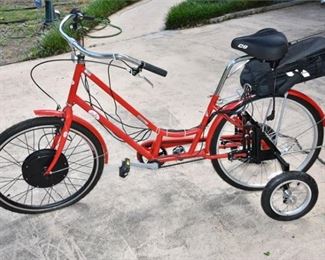 iPed Tricycle