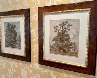 (2) J G Strull prints 
Black Poplar
Elm at Granley